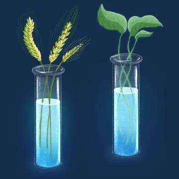 Set of two little glowing bottles with coloured liquid in it and plants. Science Stock-Illustration