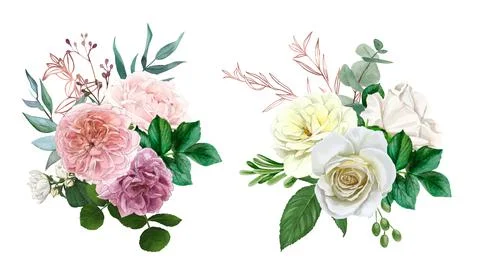 Set of two lush rose bouquets with leaves Stock Illustration