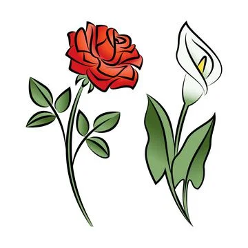 Set of two outlined flowers. Calla and rose In sketch hand drawn style.Vector Stock Illustration