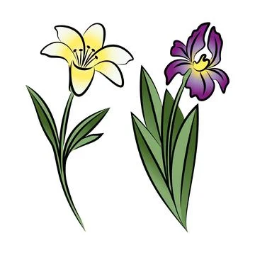 Set of two outlined flowers. Lily and iris In sketch hand drawn style. Vector Ilustración de archivo