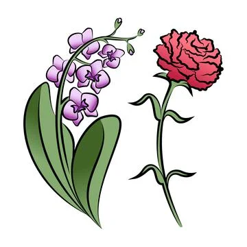 Set of two outlined flowers. Orchid and carnation  In sketch hand drawn style Stock Illustration