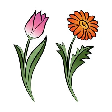 Set of two outlined flowers. Tulip and daisy In sketch hand drawn style. Stock-Illustration