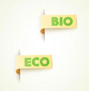 Set of two paper labels eco design Illustration