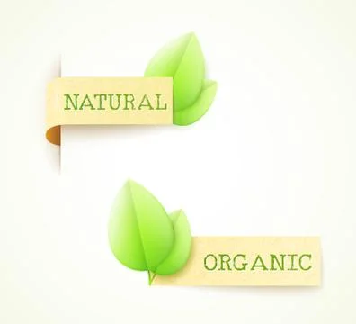 Set of two paper labels eco design Illustrazione stock