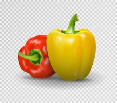 Set of two peppers. Yellow, red pepper. Vector illustration, natural pepper Stock Illustration