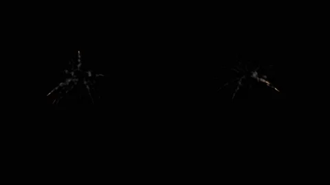 Set of two Powder explosion on black background. Stock Footage 132974140