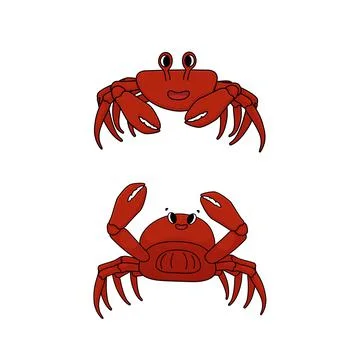 Set of two red crabs, they have smiles, claws apart, have a positive attitude Stock Illustration