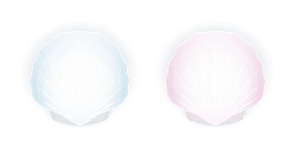 Set of two seashells 스톡 일러스트