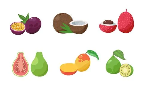 Set of two slices passion fruit, coconut, lychee, guava, mango, feijoa. Vector Stock Illustration