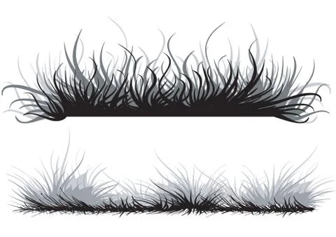 Set of two stylized herbs in black color, isolated object on a white backgrou Stock Illustration