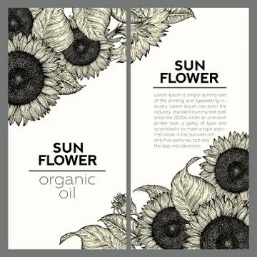 Set of two sunflower vintage design templates. Vector hand drawn illustration Stock Illustration