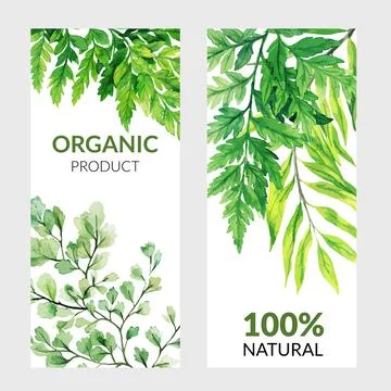 Set of two vertical banners with green ferns Stock Illustration