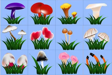 Set of unusual mushrooms Stock Illustration