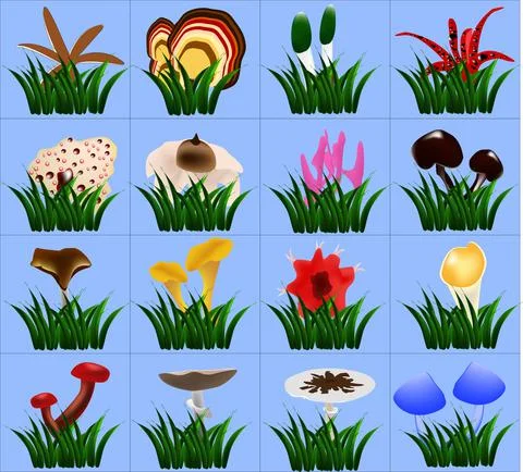 Set of unusual mushrooms Stock Illustration