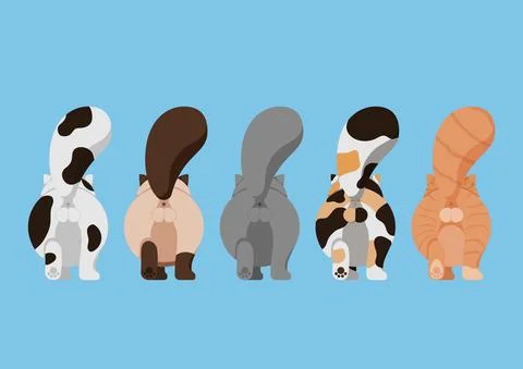 Set of Variety Cute Cat Butt Stock Illustration