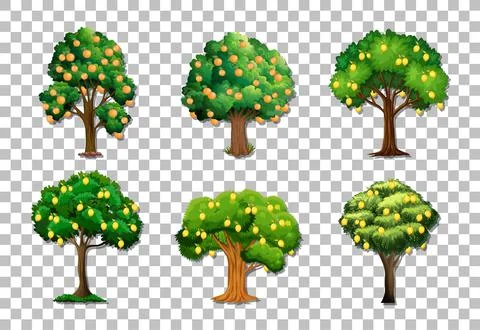Set of variety fruit trees on transparent background Stock Illustration