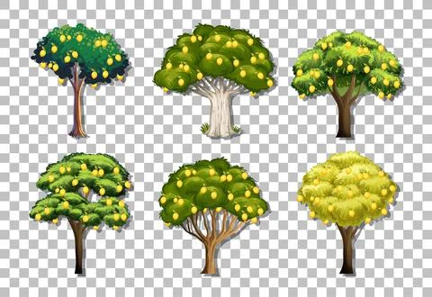 Set of variety lemon trees on transparent background Stock Illustration