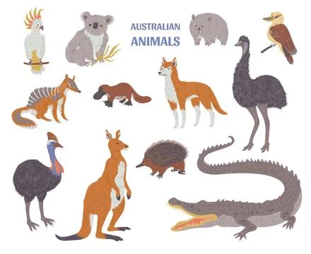 Set of various Australian animals flat style, vector illustration Illustrazione stock