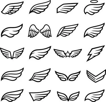 Set of various bird wings flying in different directions vector illustration Stock Illustration