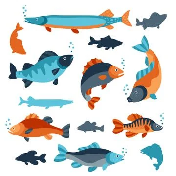 Set of various fish. Objects for decoration, design on advertising booklets Stock Illustration