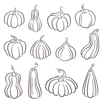 Set of various hand drawn pumpkin in line art style. Autumn sketch for Halloween Stock Illustration