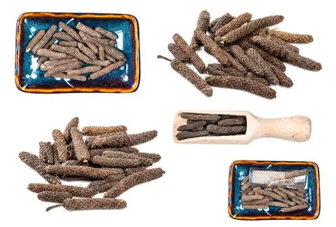 Set of various java long pepper catkins cutout Photos
