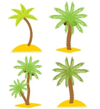 Set of various palm trees. objects isolated. vector Stock Illustration
