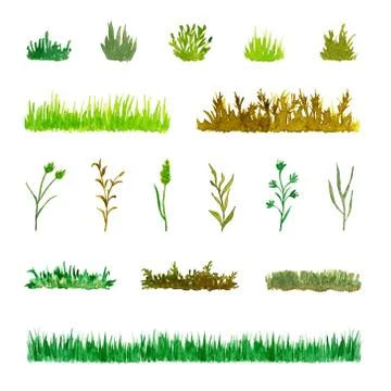 Set of Various Plant Elements (Grass, Bushes, Stems), Watercolor Painted Stock Illustration