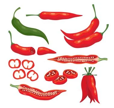 Set of various Red Chili Pepper set kit collection cartoon with Red Chili P.. Stock Illustration