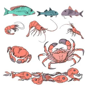 Set of various sea creatures icons. Hand drawing Vector. Illustrazione stock