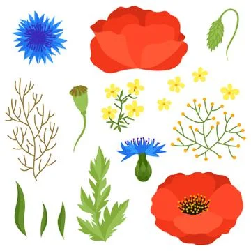 Set of various spring flowers, leaves. Elements for decoration and design Stock Illustration