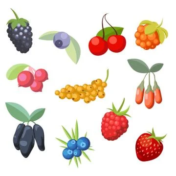 Set of various stylized ripe fresh berries. Berry collection. Vector Stock Illustration