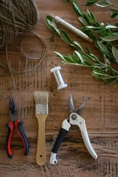 Set of various tools and plants on wooden table Stock Photos