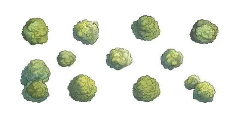 Set of various trees, bushes and shrubs, top view for landscape design plan or Stock Illustration