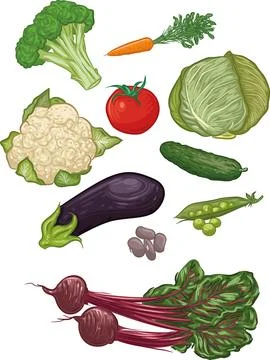 Set of various vegetables Stock Illustration