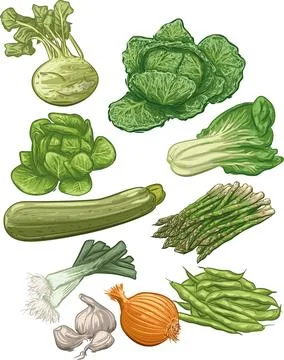 Set of various vegetables Stock Illustration