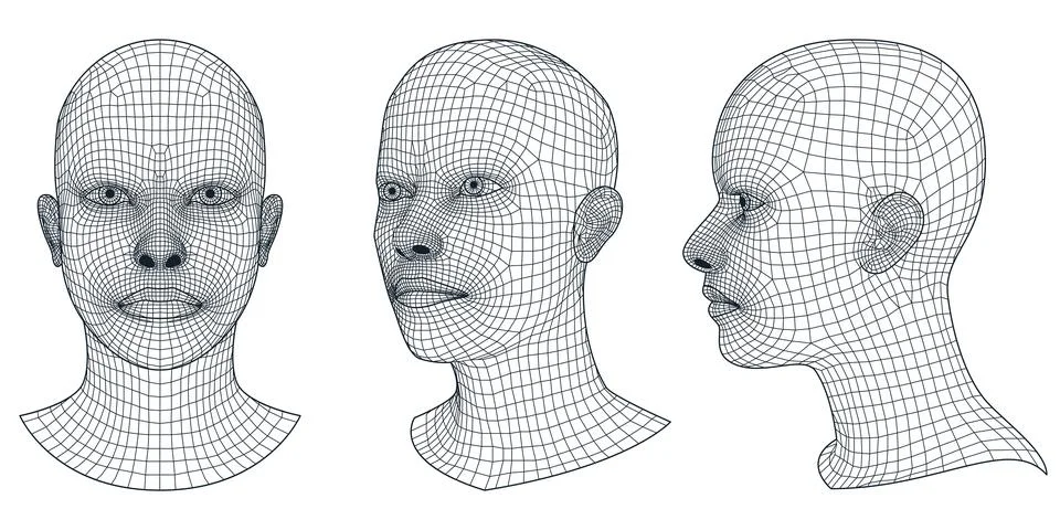 Set of vector 3d wireframe human heads. Geometric grid mesh man or woman fron Stock Illustration