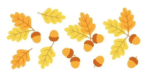 Set of vector acorns and oak leaves Illustrazione stock