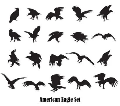Set of vector american eagle silhouettes 스톡 일러스트