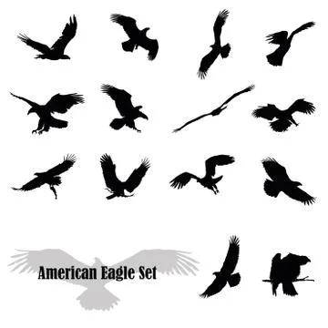 Set of vector american eagles イラスト素材