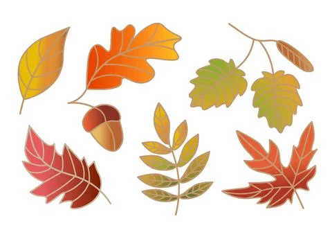 Set of vector autumn leaves with gradient in illustrator Stock Illustration