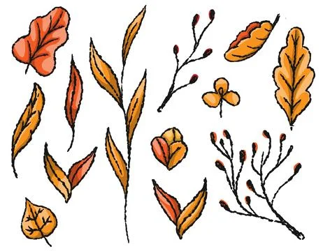 Set of vector autumn leaves, tree branches Stock Illustration