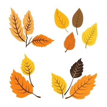 Set of vector autumn yellow dry leaves. Flat illustration with brown plants.. Stock Illustration