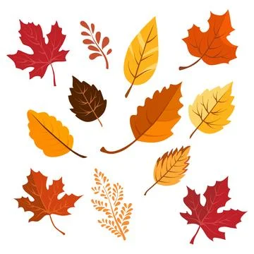 Set of vector autumn yellow dry leaves. Clipart is on white background. Isola Stock Illustration