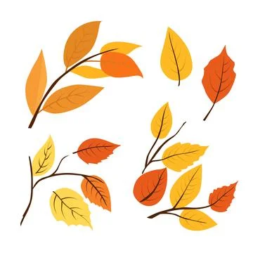 Set of vector autumn yellow dry leaves. Clipart is on white background. Isola Stock Illustration