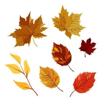 Set of vector autumn yellow dry leaves. Flat illustration with brown plants.. Stock Illustration
