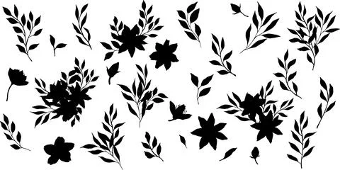 Set of vector black silhouette with flower, leaves and branch. Elegant art for Stock Illustration