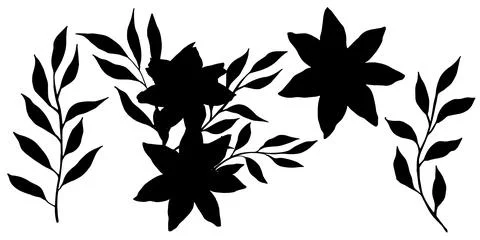 Set of vector black silhouette with flower, leaves and branch. Elegant art for Stock Illustration