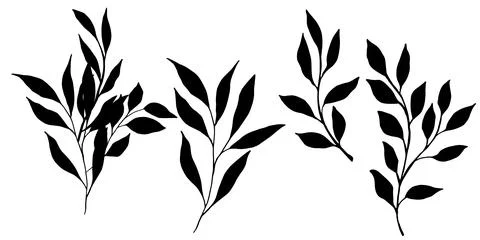 Set of vector black silhouette with flower, leaves and branch. Elegant art for Stock Illustration