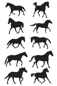 Set of vector black trotting horses silouettes Stock Illustration